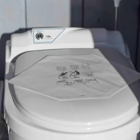 Kesaemoekki Meren Rannalla, 5 Km Tammisaaren Keskustaan