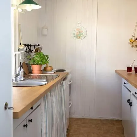 Kesaemoekki Meren Rannalla, 5 Km Tammisaaren Keskustaan *