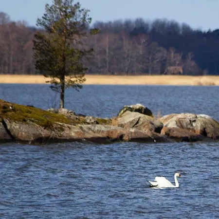 Kesaemoekki Meren Rannalla, 5 Km Tammisaaren Keskustaan Raseborg