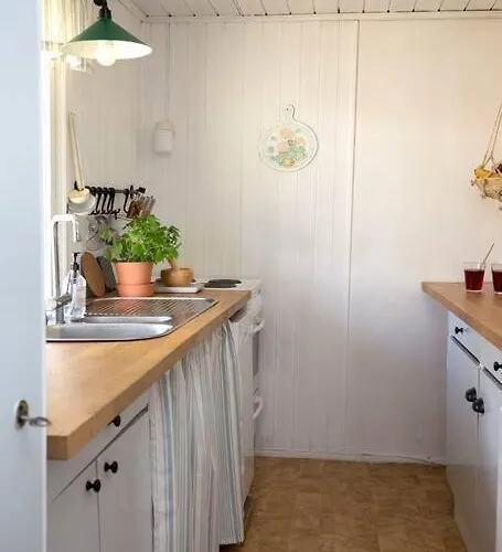 Kesaemoekki Meren Rannalla, 5 Km Tammisaaren Keskustaan *