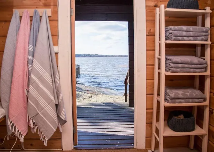 Kesaemoekki Meren Rannalla, 5 Km Tammisaaren Keskustaan