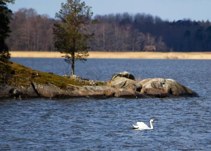 Kesaemoekki Meren Rannalla, 5 Km Tammisaaren Keskustaan Raseborg